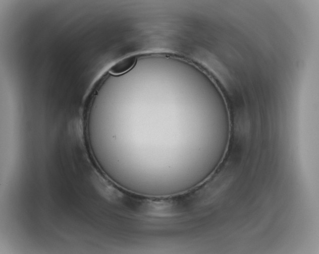 X0000114241460200910161622