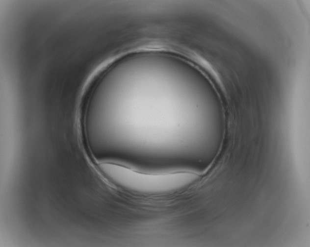 X0000114241464200910161622