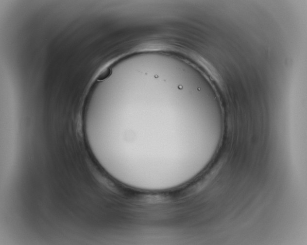 X0000114241465200910161622