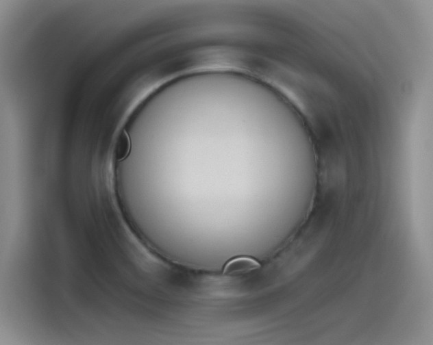 X0000114241468200910161622