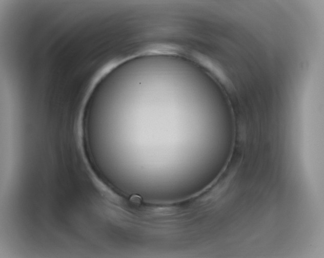 X0000114241471200910161622