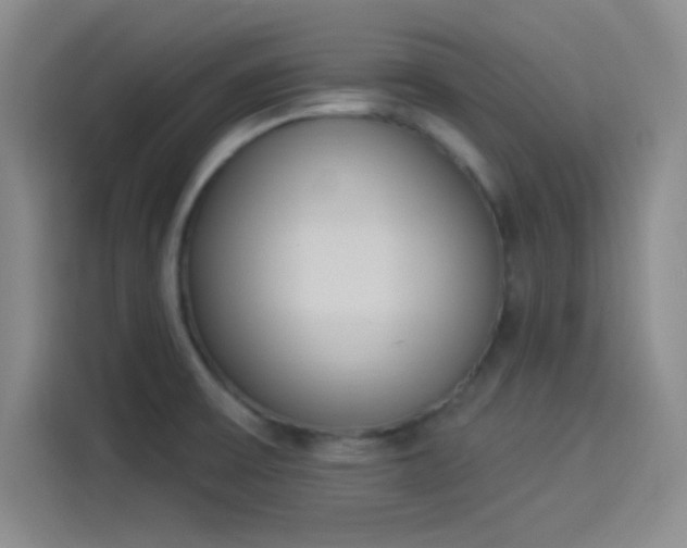 X0000114241475200910161622