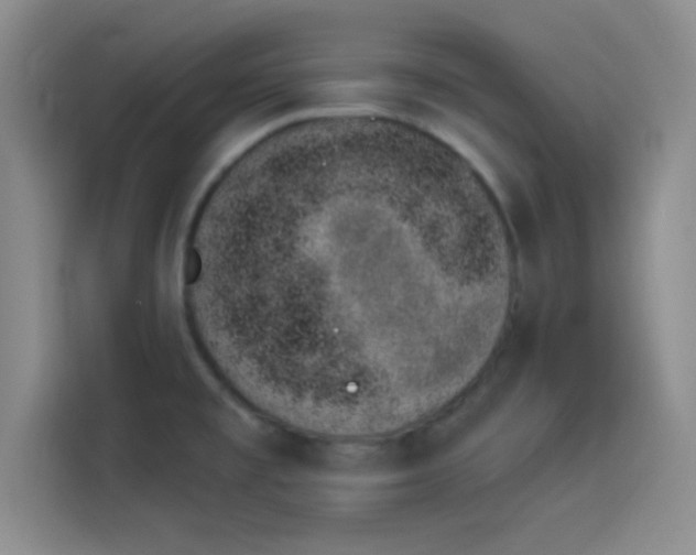 X0000114241477200910161622