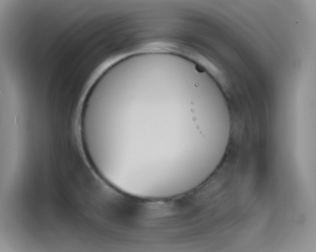 X0000114241478200910161622