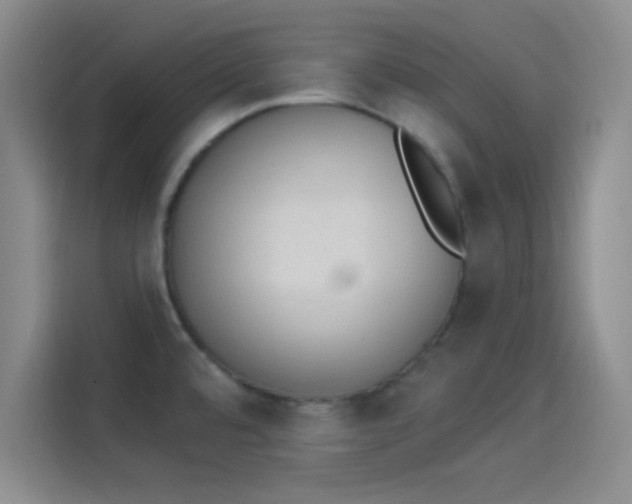 X0000114241480200910161622