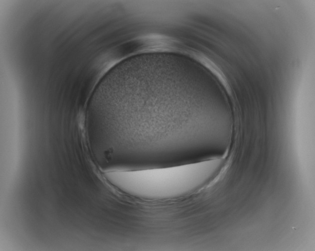 X0000114241481200910161622