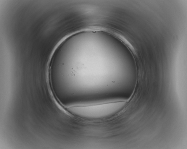 X0000114241484200910161622