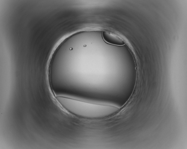 X0000114241488200910161622