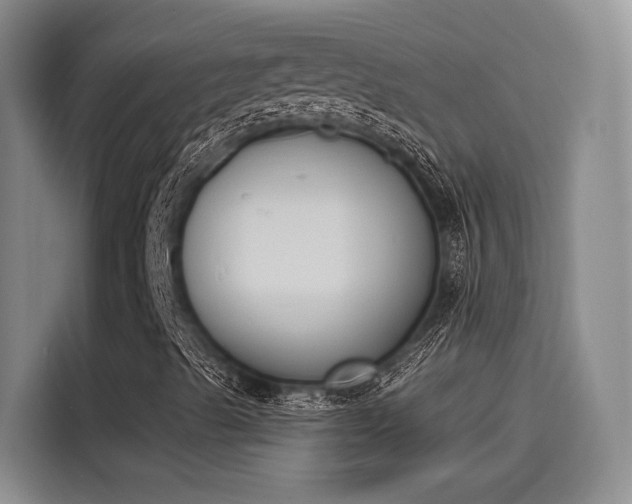 X0000114241489200910161621