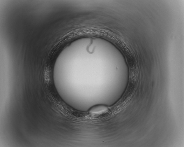 X0000114241490200910161621