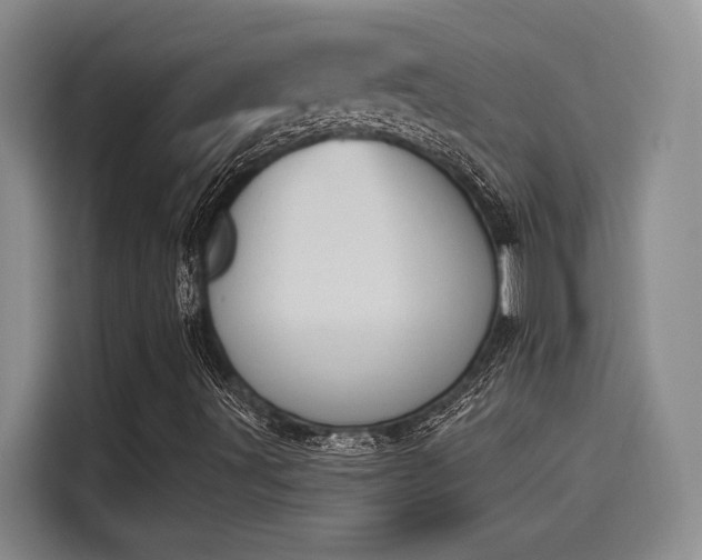 X0000114241491200910161621