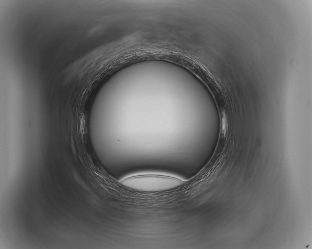 X0000114241492200910161621