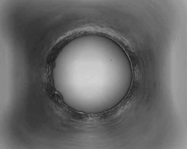X0000114241494200910161621