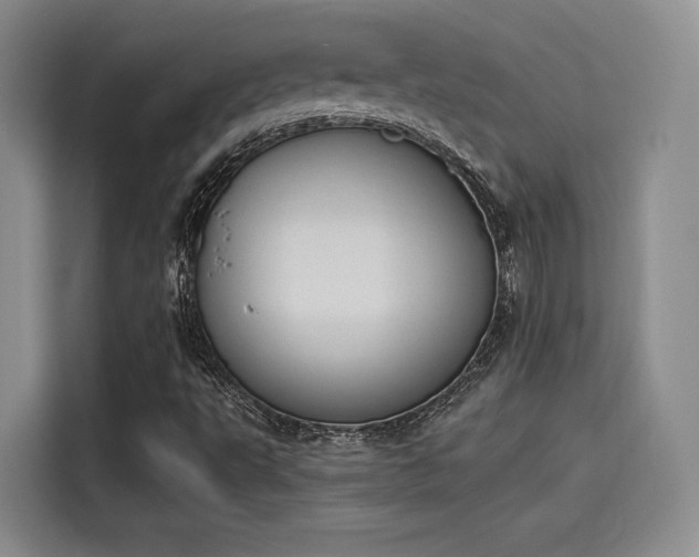 X0000114241495200910161621