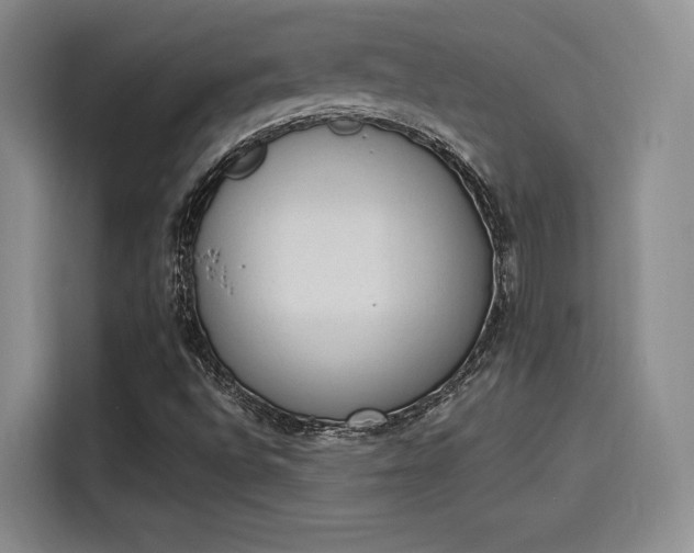 X0000114241496200910161621
