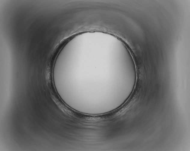 X0000114241499200910161621