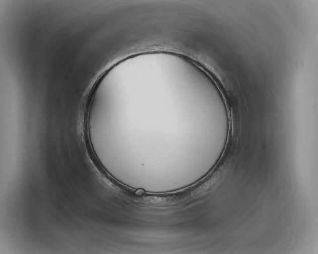 X0000114241500200910161621