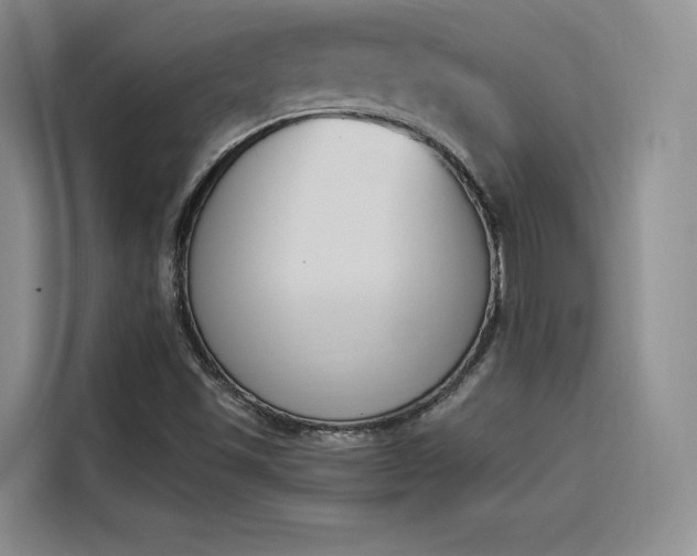 X0000114241501200910161621