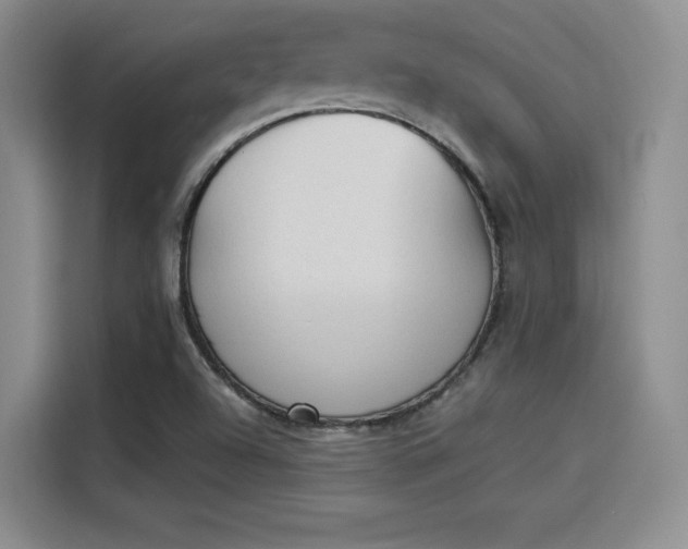 X0000114241504200910161622