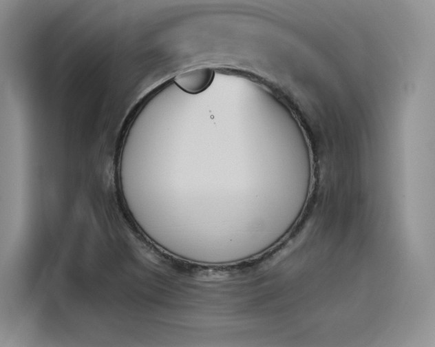 X0000114241505200910161622