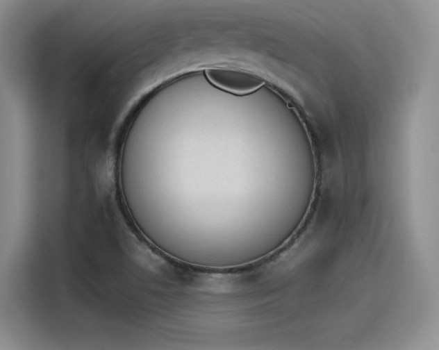 X0000114241506200910161622