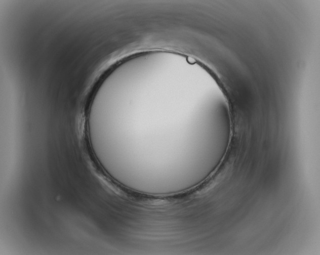 X0000114241507200910161622