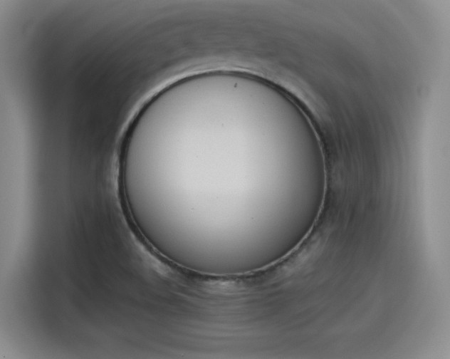 X0000114241508200910161622
