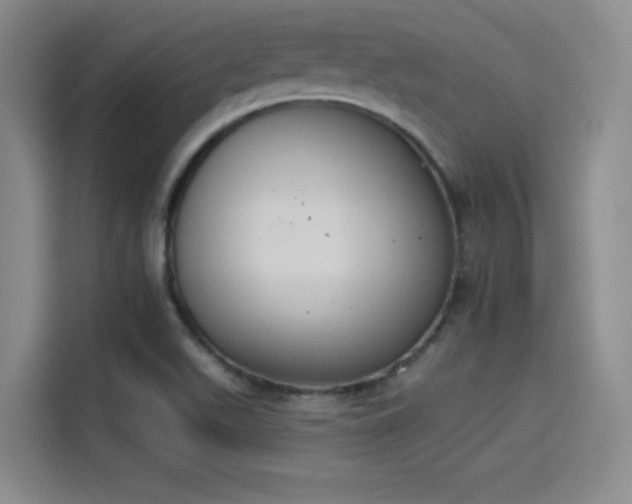 X0000114241511200910161622