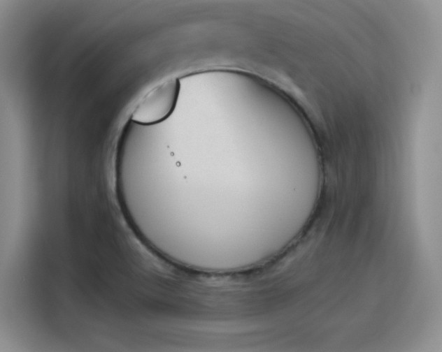 X0000114241512200910161622