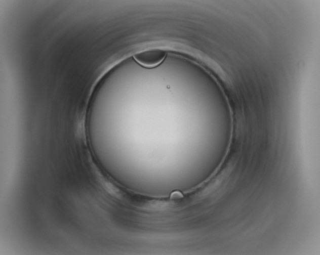 X0000114241513200910161622