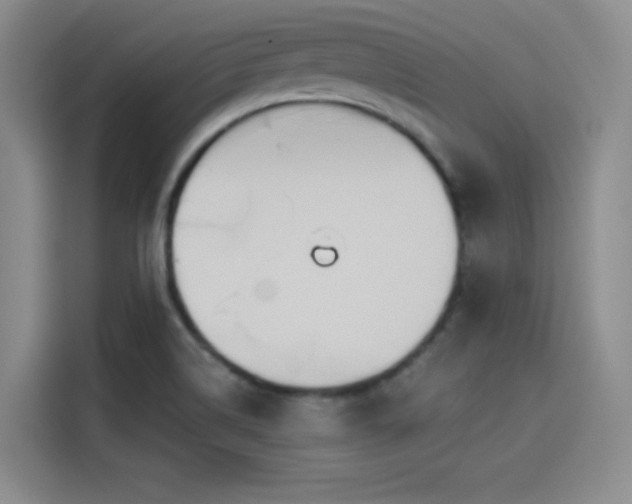 X0000114241514200910161622