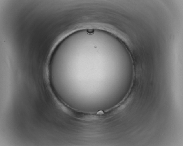 X0000114241517200910161622