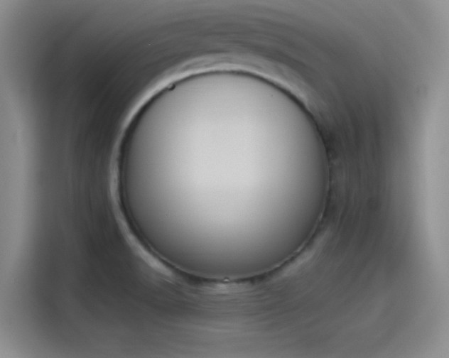 X0000114241518200910161622
