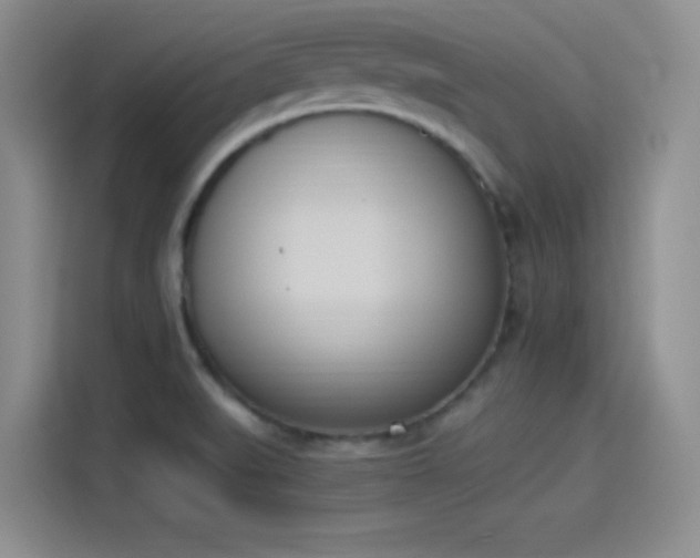 X0000114241519200910161622