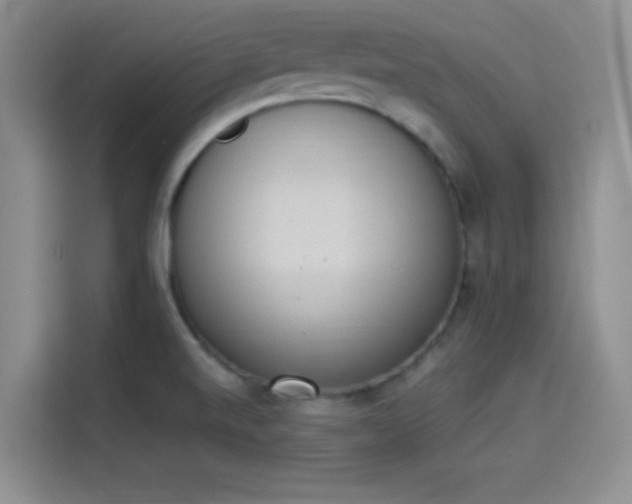 X0000114241520200910161622