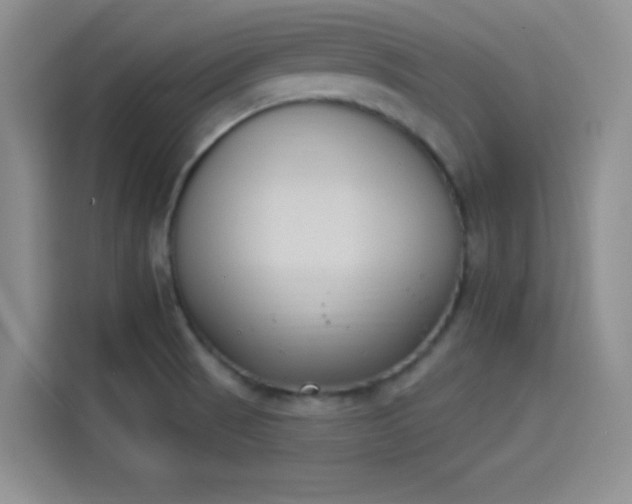 X0000114241521200910161622