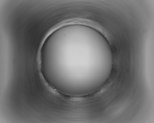 X0000114241522200910161622