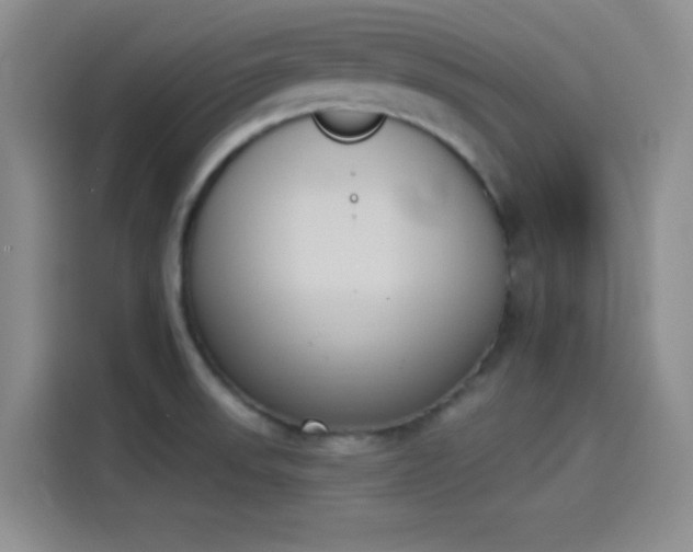 X0000114241523200910161622