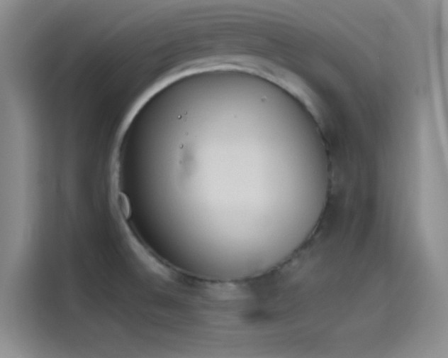 X0000114241524200910161622