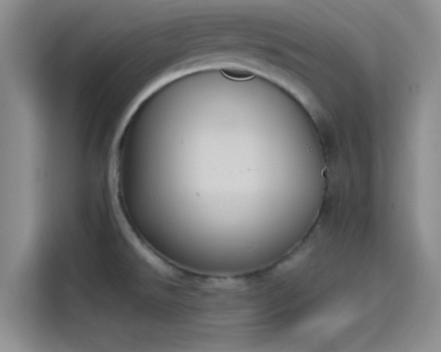 X0000114241526200910161622