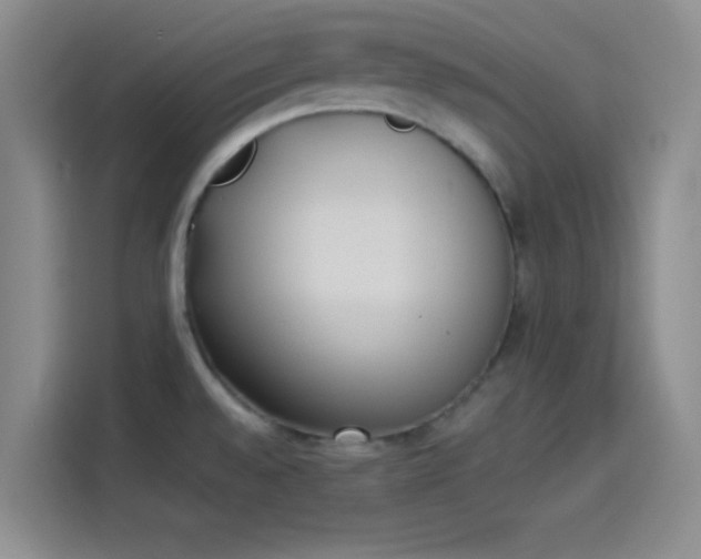 X0000114241528200910161622