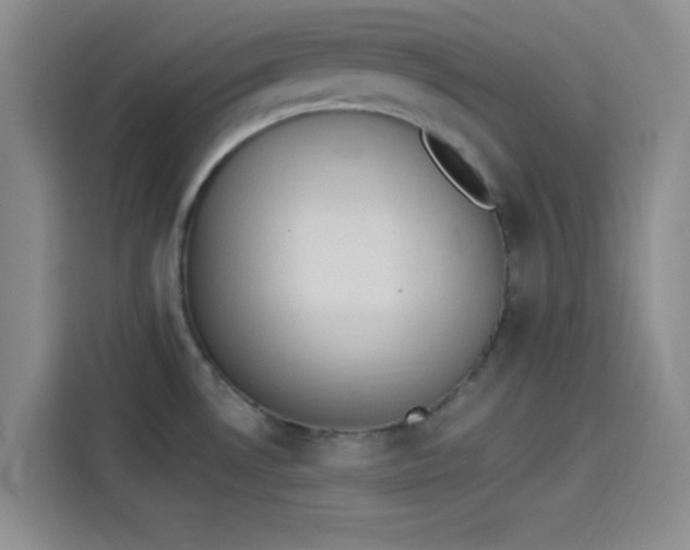 X0000114241530200910161622