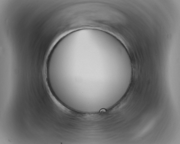 X0000114241531200910161622