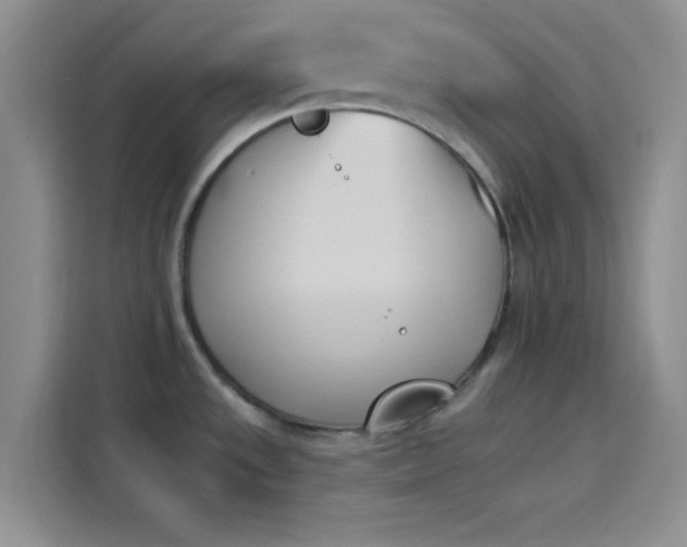 X0000114241533200910161622