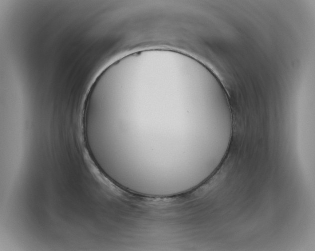 X0000114241534200910161622