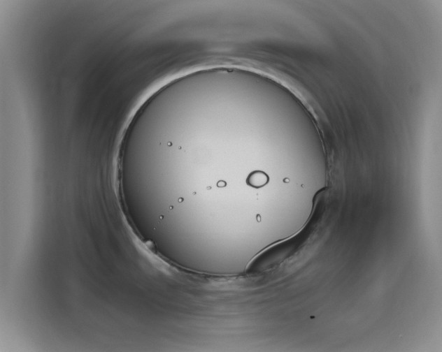 X0000114241535200910161622