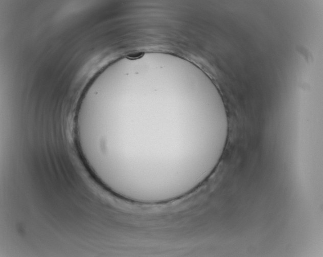 X0000114240002200910231533