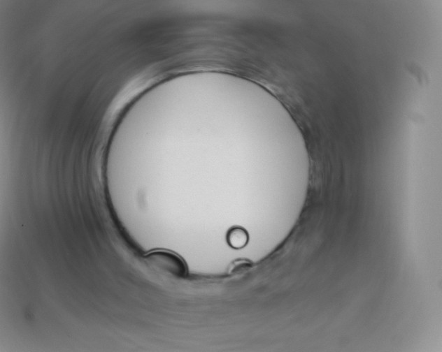 X0000114240004200910231533