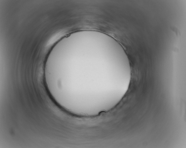X0000114240005200910231533