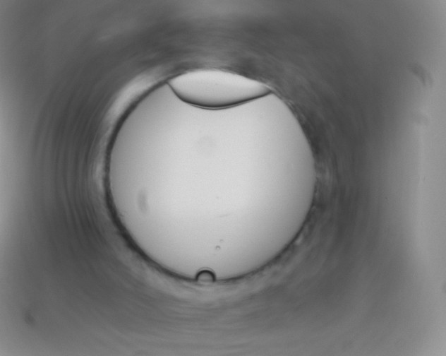 X0000114240006200910231533